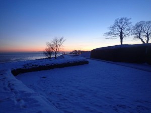 P1150048_800x600